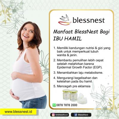 Manfaat BLESSNEST Bagi Kesehatan Ibu Hamil