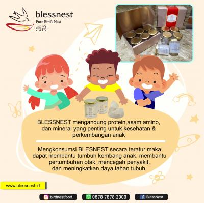 Manfaat BLESSNEST Bagi Kesehatan Anak - Anak