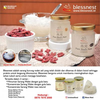BLESSNEST